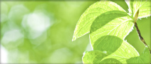 ISO14001 認証取得