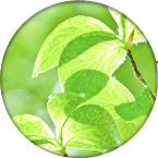 ISO14001
