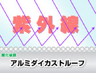 紫外線に強い