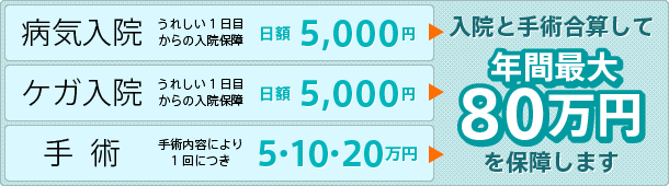 入院と手術合算して年間最大80万円を保証します