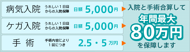 入院と手術合算して年間最大80万円を保証します