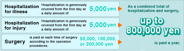 As a combined total of hospitalization and surgery, up to 800,000 yen is paid a year.